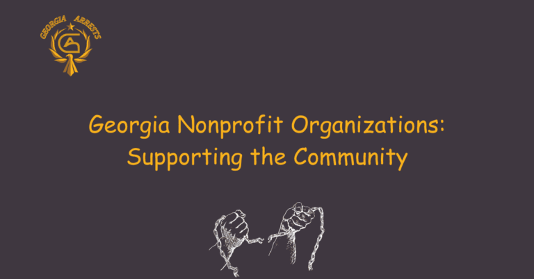 Georgia Nonprofit Organizations: Supporting the Community