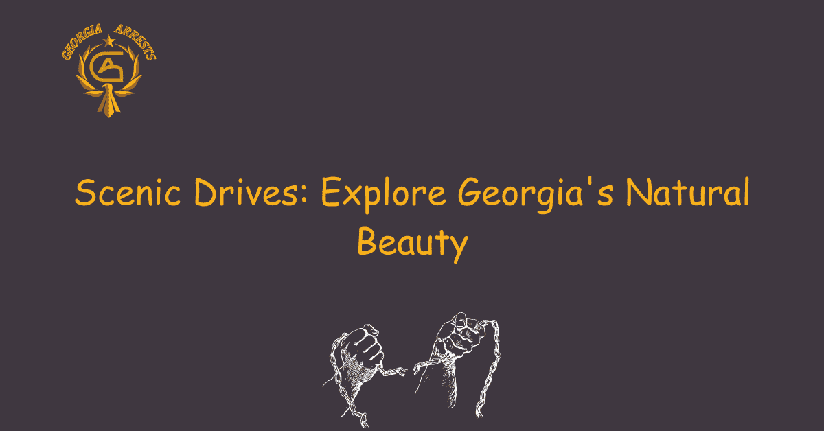 Scenic Drives: Explore Georgia's Natural Beauty